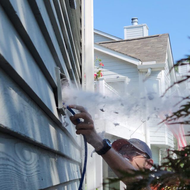 Dryer Vent Cleaning